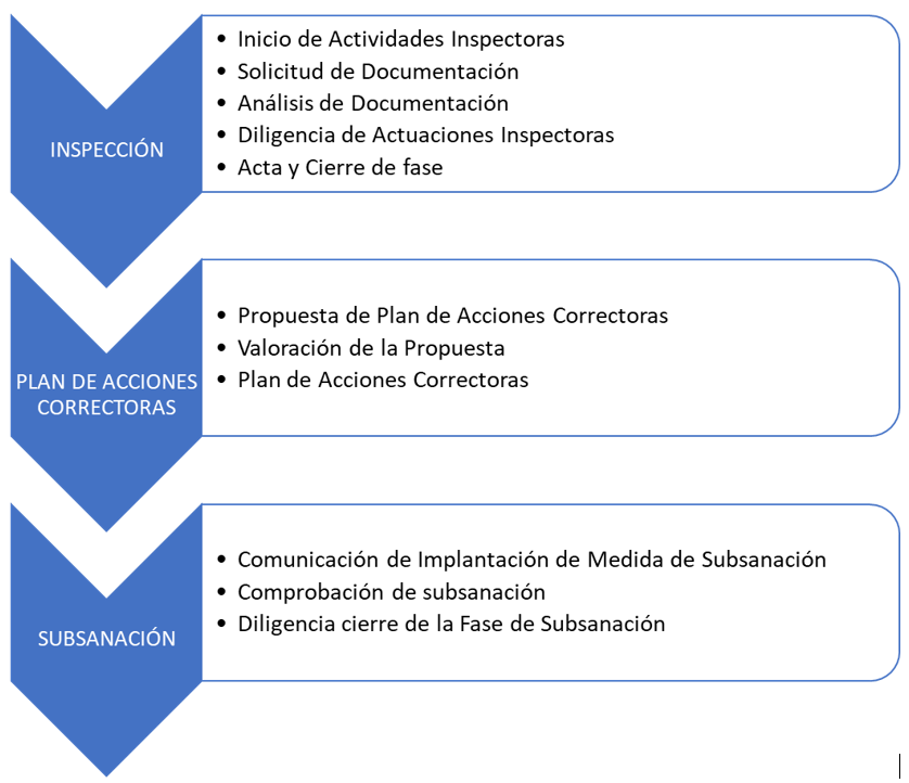 Phases of the Inspection