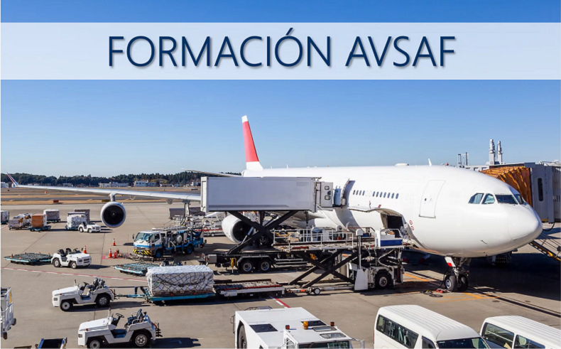 avsaf 1.png