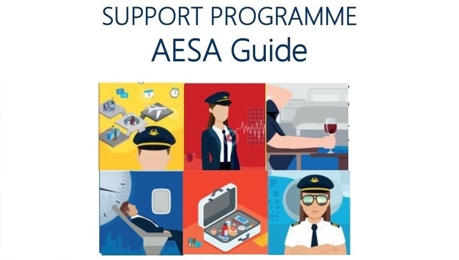 AESA participa en el seminario online sobre la Implementación de Programas de Apoyo organizado por EASA.