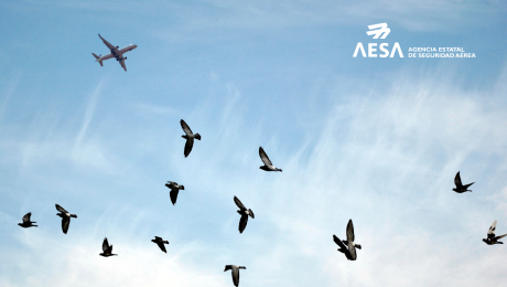 AESA presenta la nueva versión de su Mapa de Aviación y Fauna